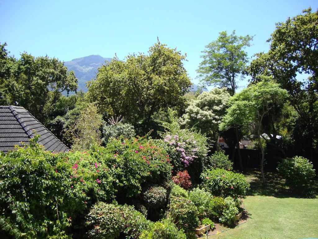 Little House Villa Cape Town Ruang foto